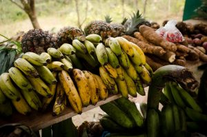 Producción Agrícola
